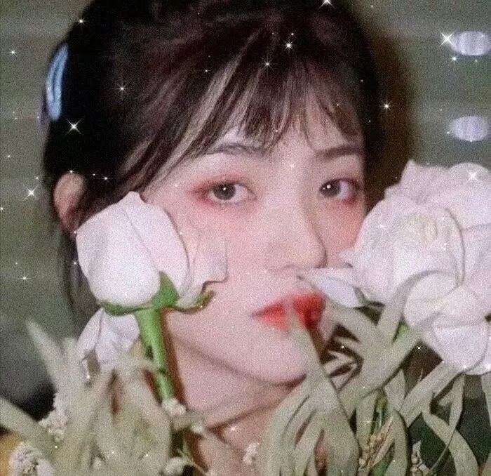 有风在唱歌